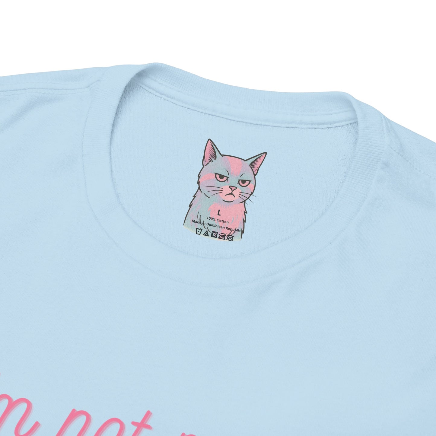 🐱 Emotionally Unavailable But Cute About It (With Cat, Obviously)