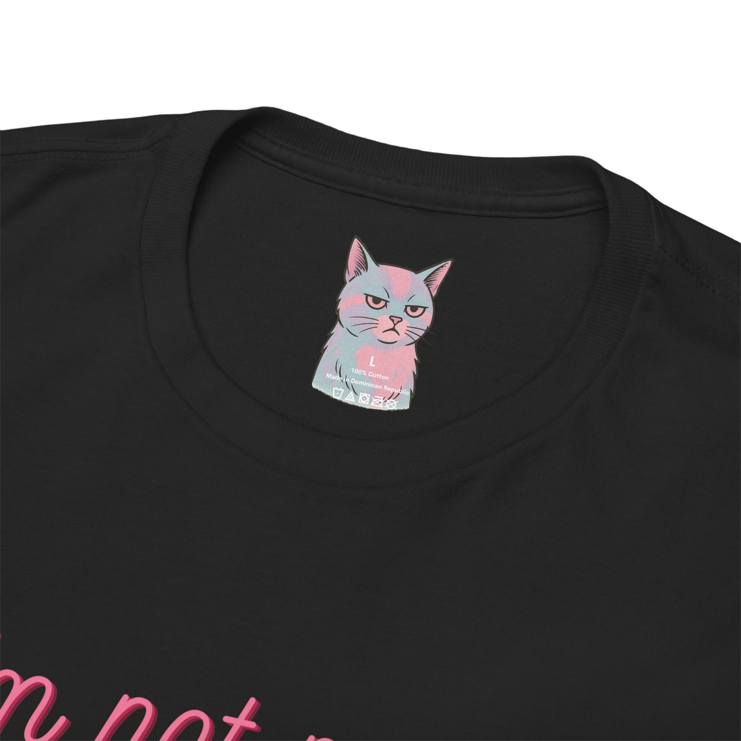 🐱 Emotionally Unavailable But Cute About It (With Cat, Obviously)