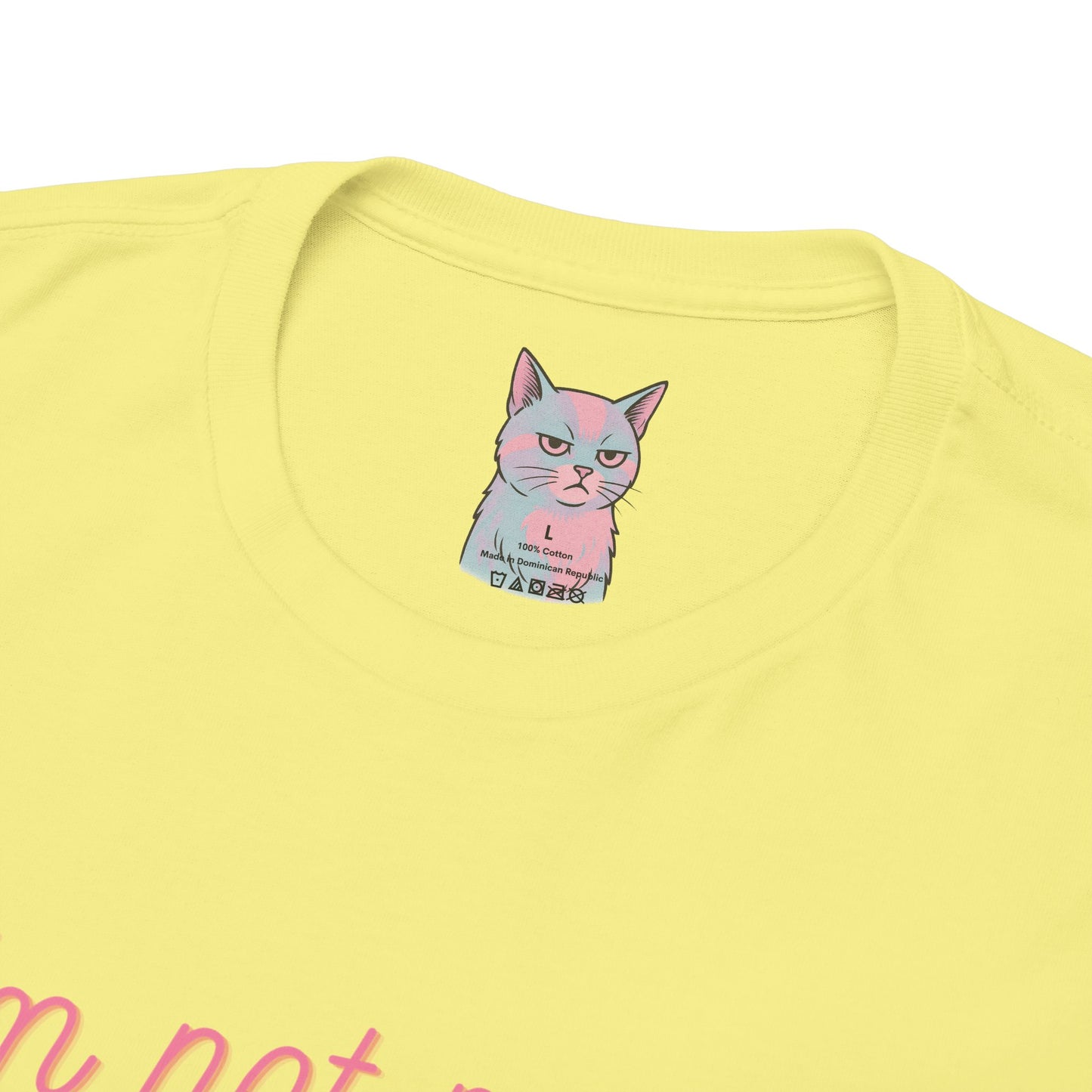 🐱 Emotionally Unavailable But Cute About It (With Cat, Obviously)